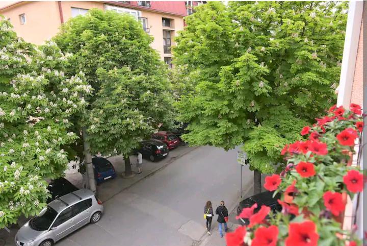 Milica Apartments Skopje Exterior photo